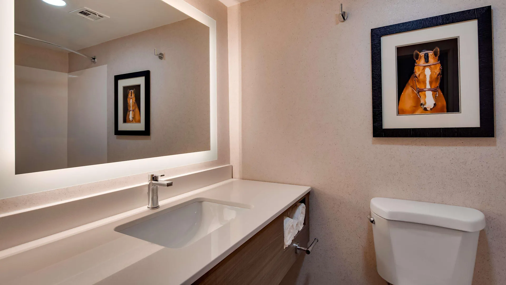Hotel Aiden By Best Western Scottsdale North